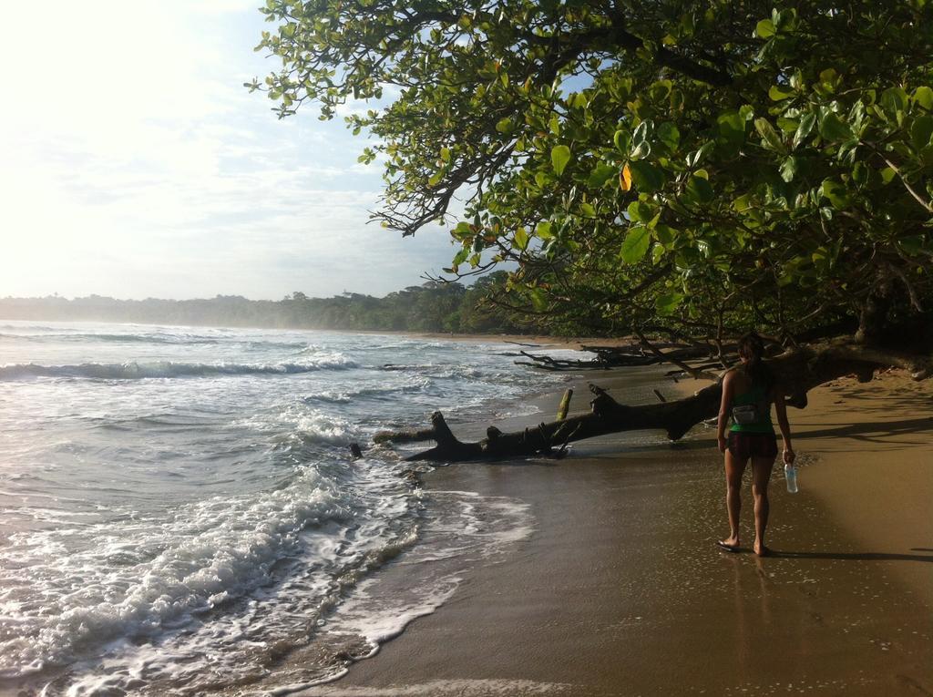 Morpheus Exotica Lodge Puerto Viejo de Talamanca Dış mekan fotoğraf
