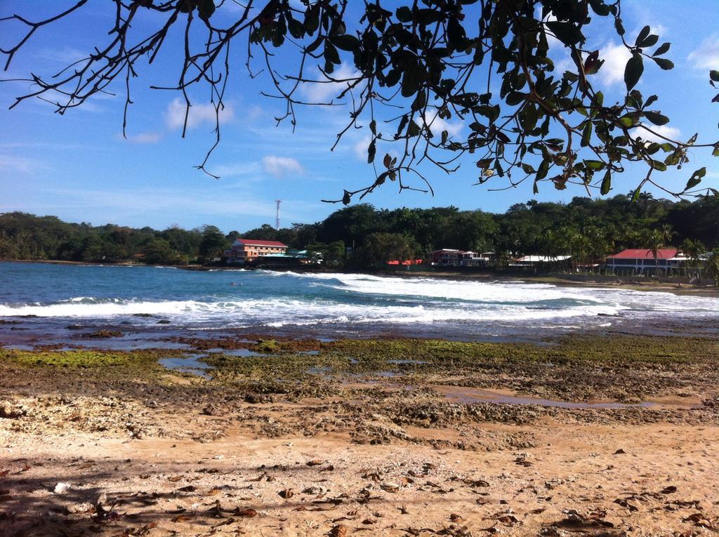Morpheus Exotica Lodge Puerto Viejo de Talamanca Dış mekan fotoğraf