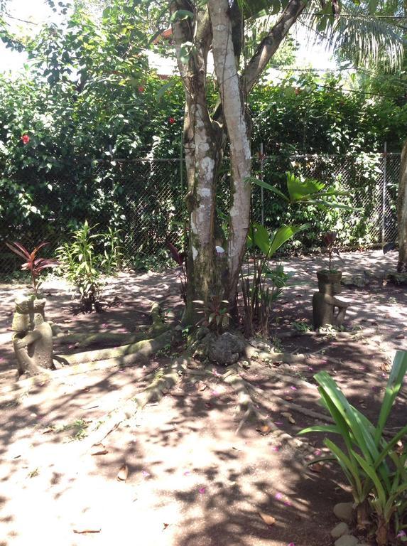 Morpheus Exotica Lodge Puerto Viejo de Talamanca Dış mekan fotoğraf