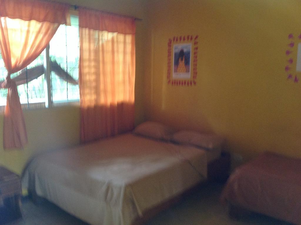 Morpheus Exotica Lodge Puerto Viejo de Talamanca Oda fotoğraf