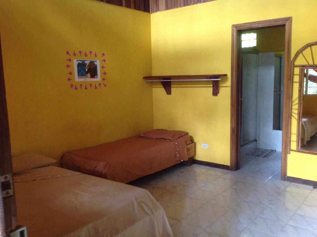 Morpheus Exotica Lodge Puerto Viejo de Talamanca Oda fotoğraf