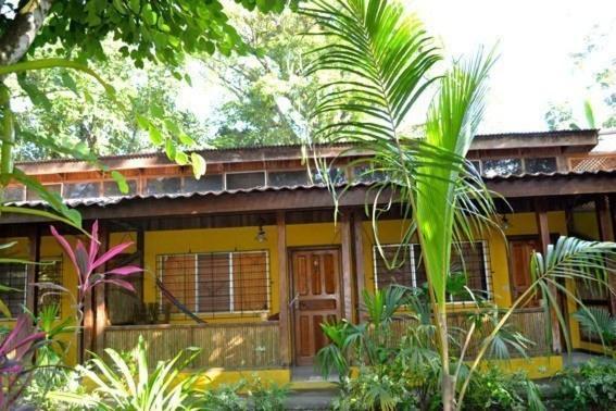 Morpheus Exotica Lodge Puerto Viejo de Talamanca Dış mekan fotoğraf