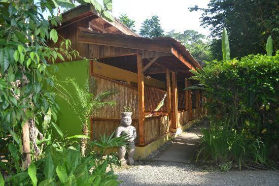 Morpheus Exotica Lodge Puerto Viejo de Talamanca Dış mekan fotoğraf