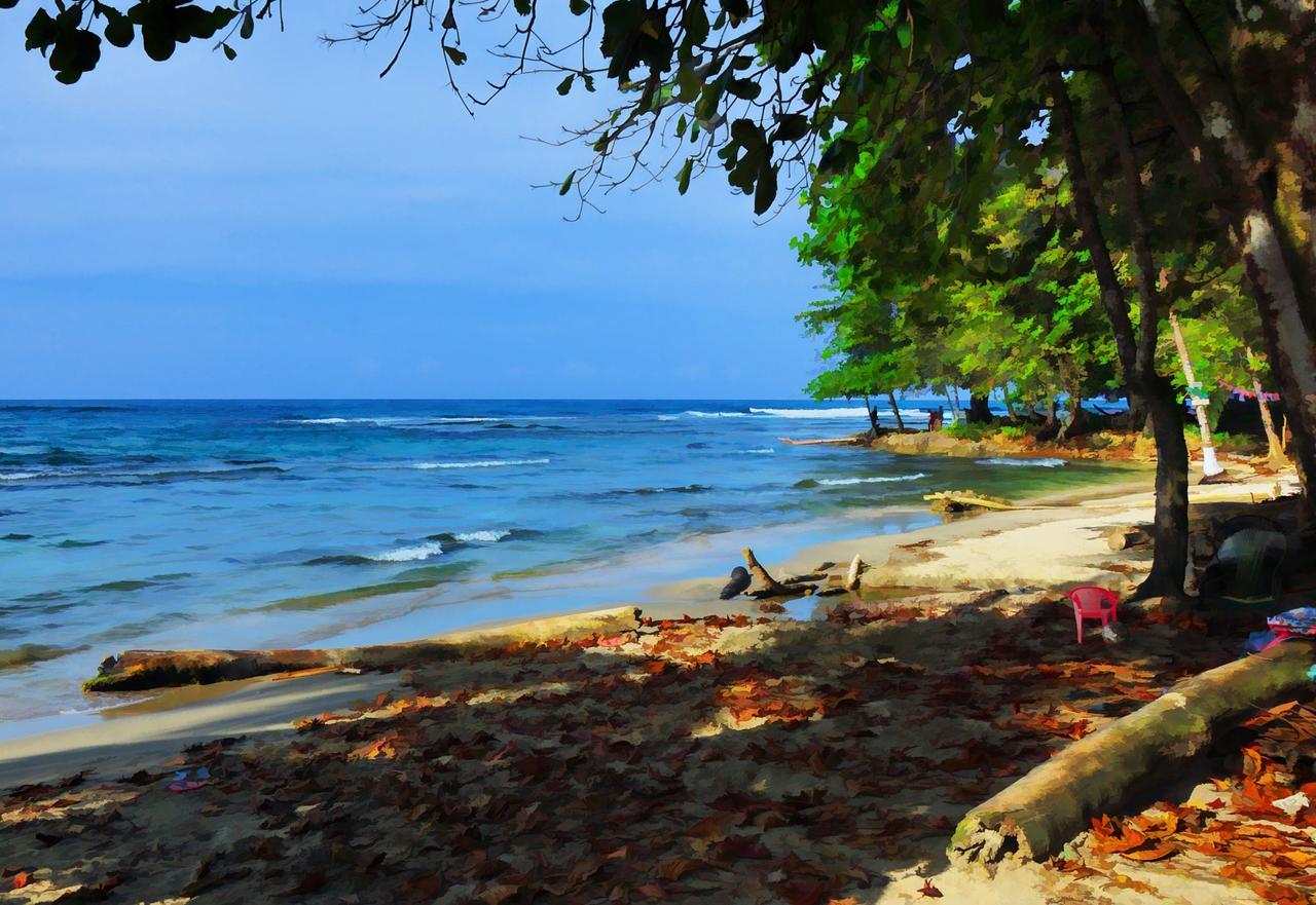 Morpheus Exotica Lodge Puerto Viejo de Talamanca Dış mekan fotoğraf