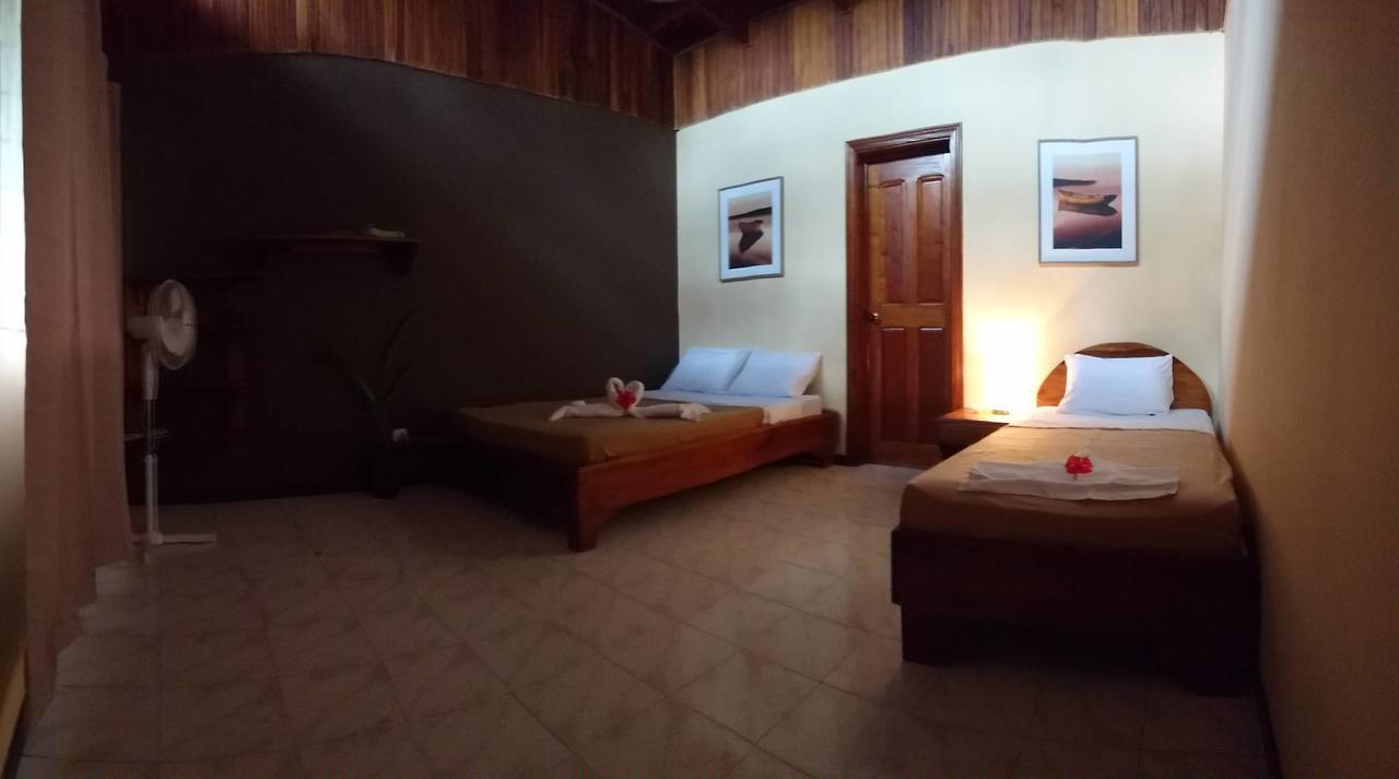 Morpheus Exotica Lodge Puerto Viejo de Talamanca Dış mekan fotoğraf