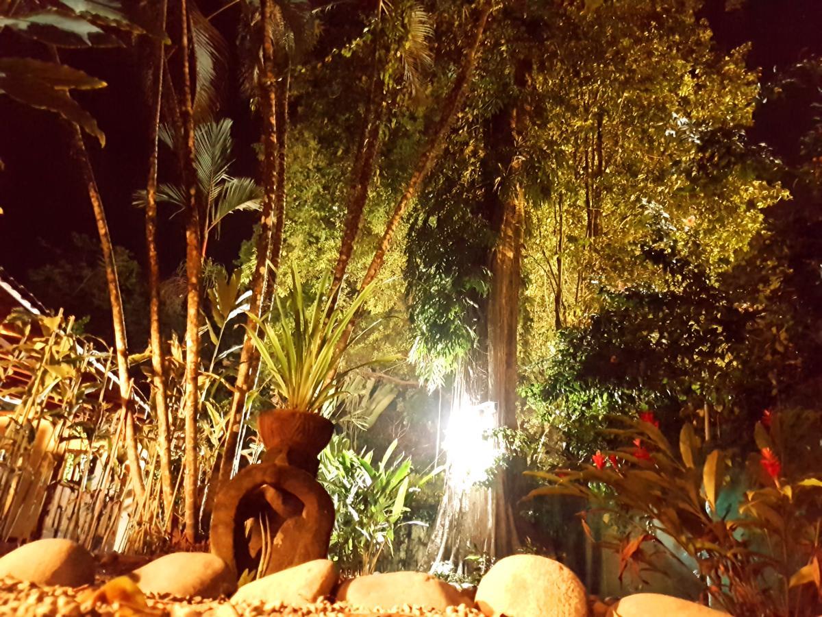 Morpheus Exotica Lodge Puerto Viejo de Talamanca Dış mekan fotoğraf