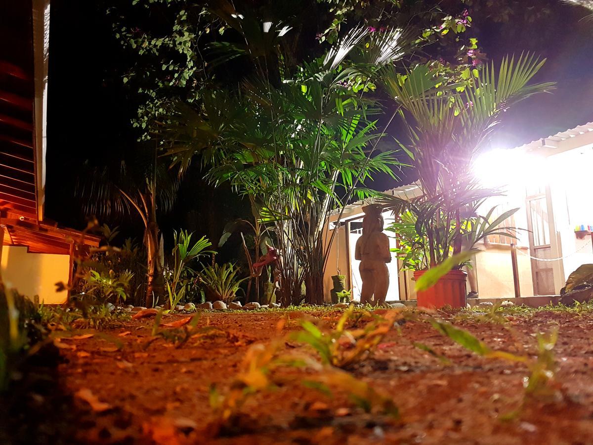 Morpheus Exotica Lodge Puerto Viejo de Talamanca Dış mekan fotoğraf