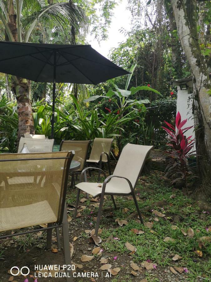 Morpheus Exotica Lodge Puerto Viejo de Talamanca Dış mekan fotoğraf